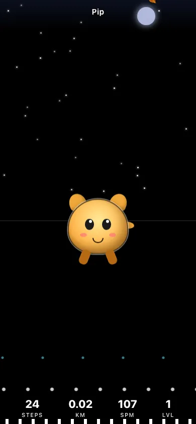 Screenshot of Pip